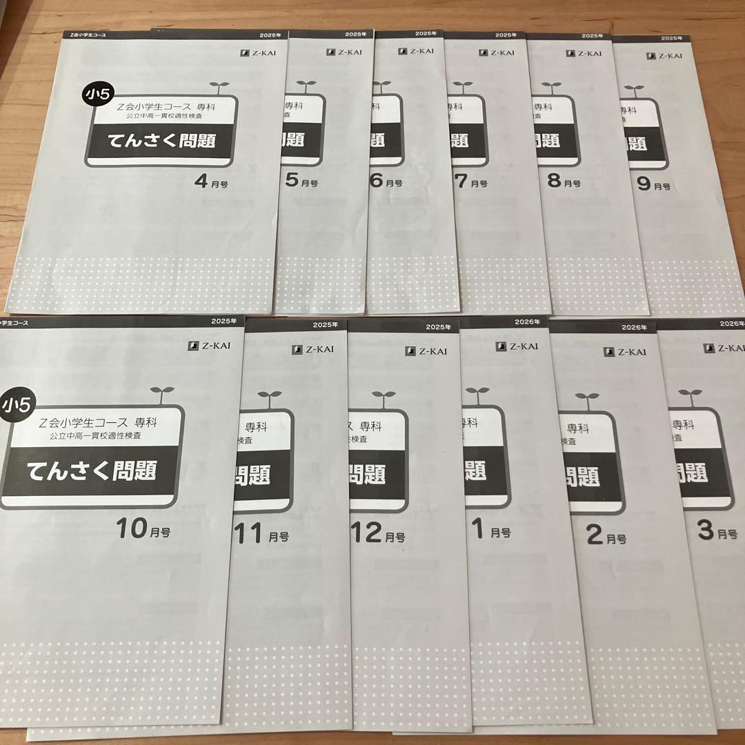 Z会 エブリスタディ 小5 公立中高一貫校適性検査 作文 1年分 問題集