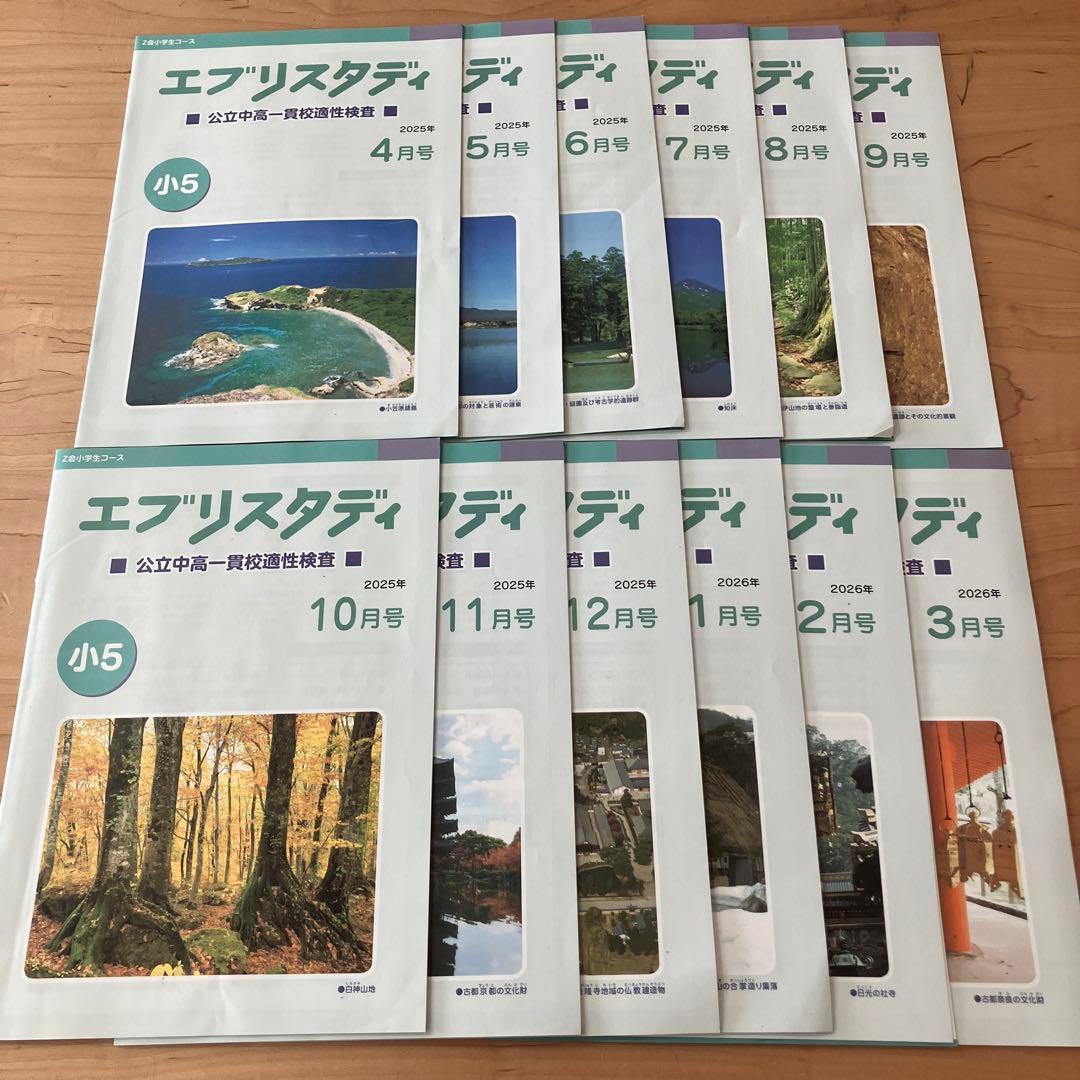 Z会 エブリスタディ 小5 公立中高一貫校適性検査 作文 1年分 問題集