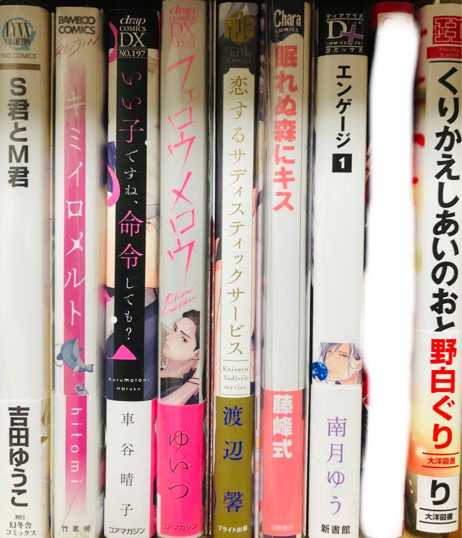 BLコミックスまとめ売り②バラ売り2冊〜