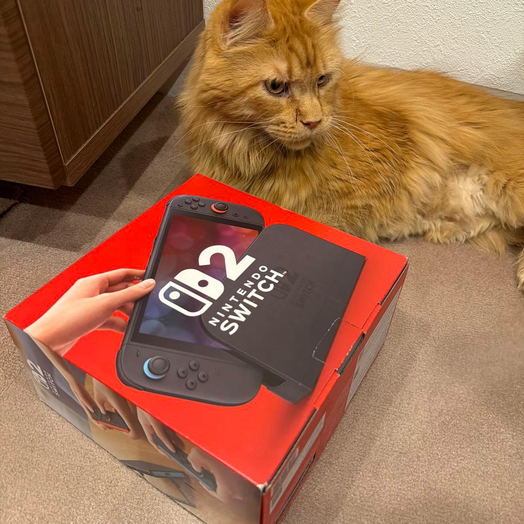 Nintendo Switch 2 日本語 新品未使用 値段相談可 Nintendo Switch 2（日本語・国内専用） Pokemon LEGENDS Z-A 2