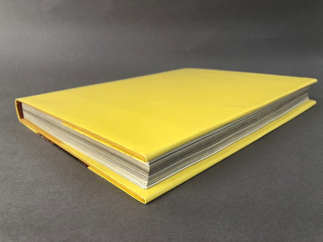 洋書画集 FRA ANGELICO THE LIGHT OF THE SOUL - メルカリ