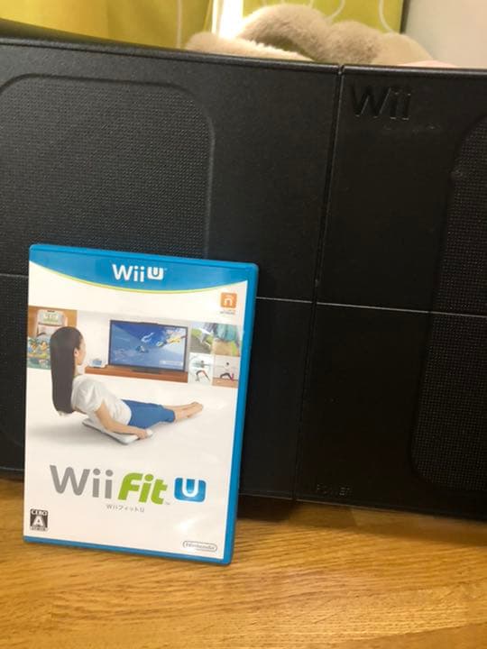 WIIU 本体となど