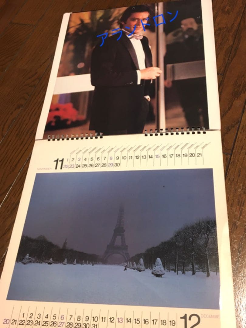 貴重】アランドロン ダーバンカレンダー 1981 - メルカリ