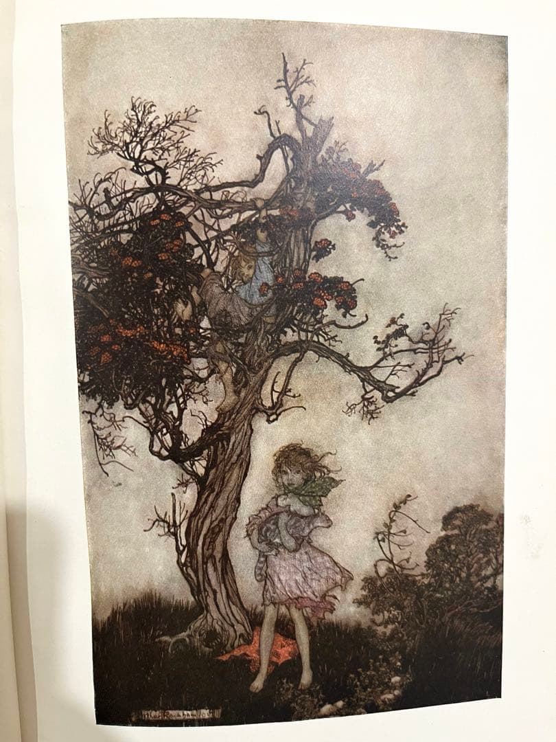 N o.335 希少 アンティーク 洋書 古書 アーサー·ラッカム - メルカリ