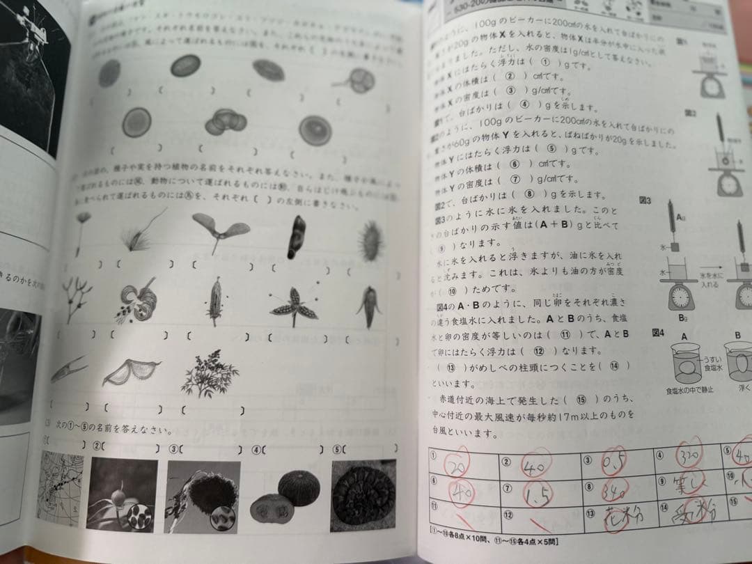 サピックスsapix5年 理科と社会 フルセット98冊 2022年版 一部未記入