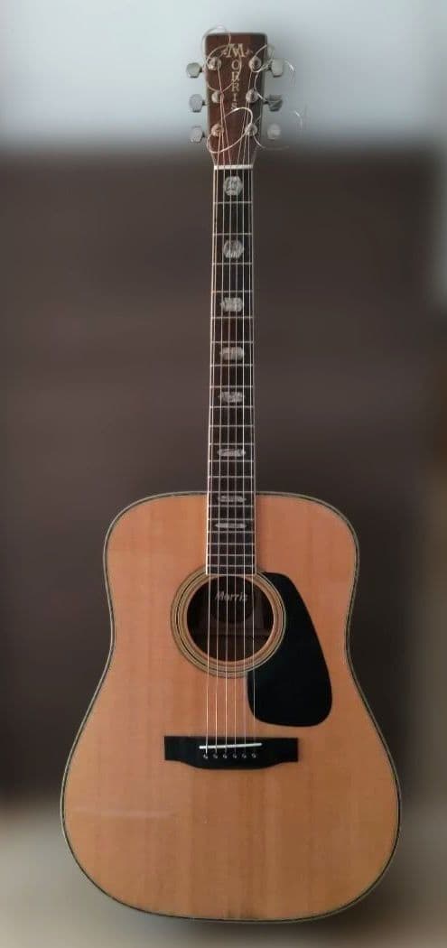 チ*ム様 モーリスアコースティックギターTF-805 TF-805 | 生産完了品 | MORRIS GUITARS モーリスギター