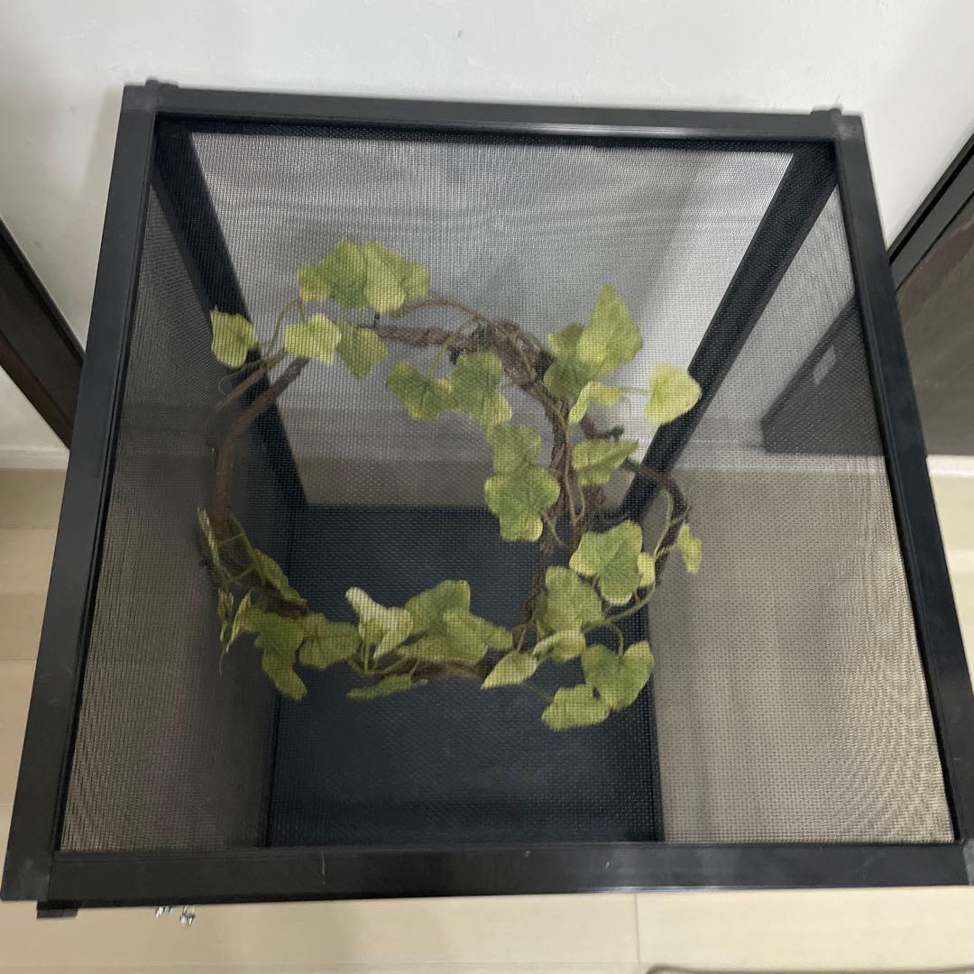 飼育ケージ ケージ 42×42×66 爬虫類 カメレオン メッシュ レイアウト