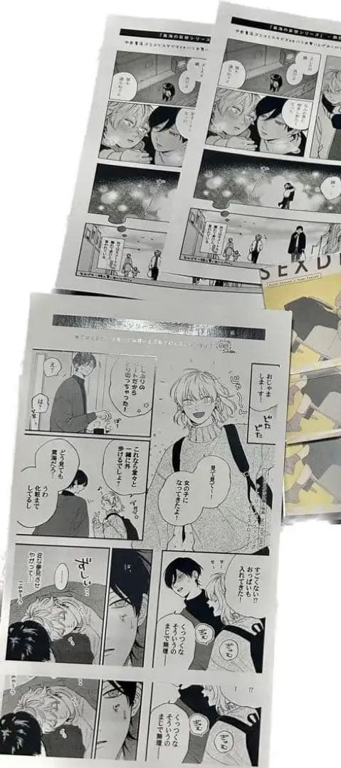 しっけ「セックスドロップ」特典 BL まとめ売り - メルカリ