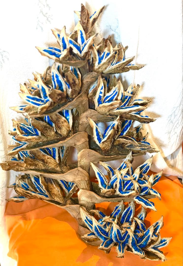 75 旅人の木 11房 特別割引価格 今季物 逸品 宮古島産 沖縄県宮古島市の旅行・宿泊特集 〜宮古ブルーが待つ極上の島旅へ