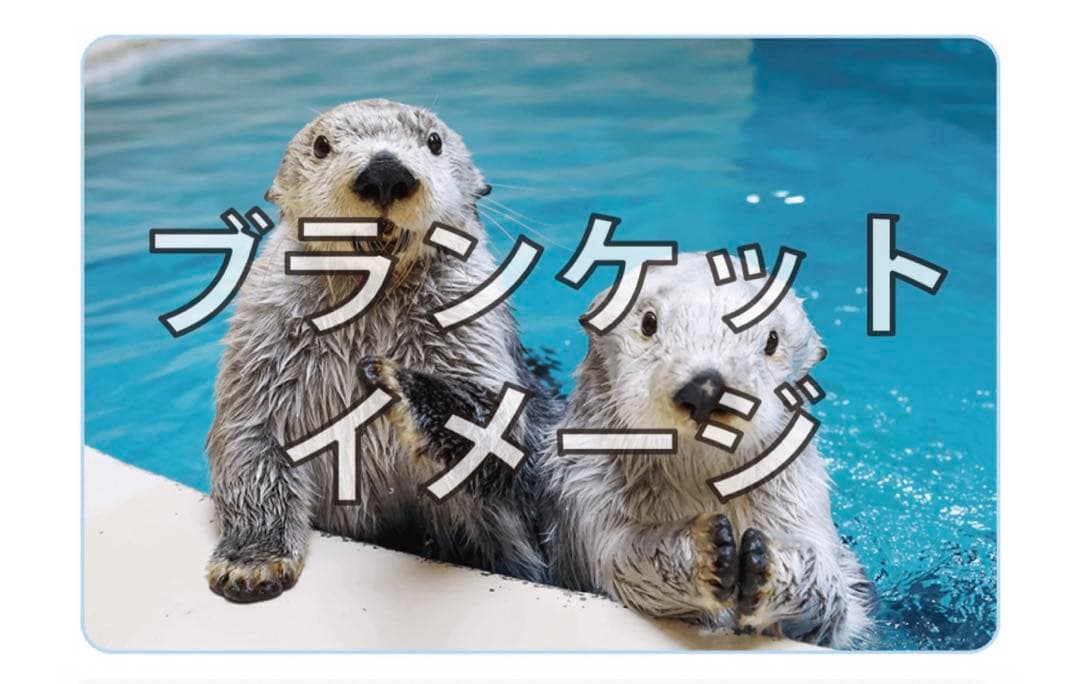鳥羽水族館 ラッコ飼育40周年 本&ブランケット メイ キラ メモリアル