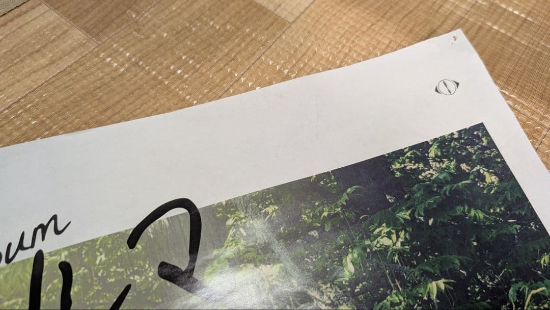 ヨルシカ 2nd Full Album 「エルマ」ポスター - メルカリ