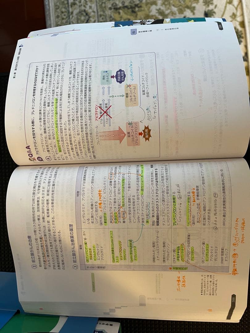 第111回薬剤師国家試験対策参考書 第15版 薬ゼミ 青本・青問セット