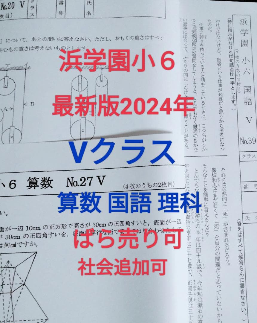 浜学園小6　Vクラス　３科目１年分　復習テスト　算数　国語　理科 2025年度 浜学園 Vクラス 復習テスト 算数 実力〜No.39、 - メルカリ