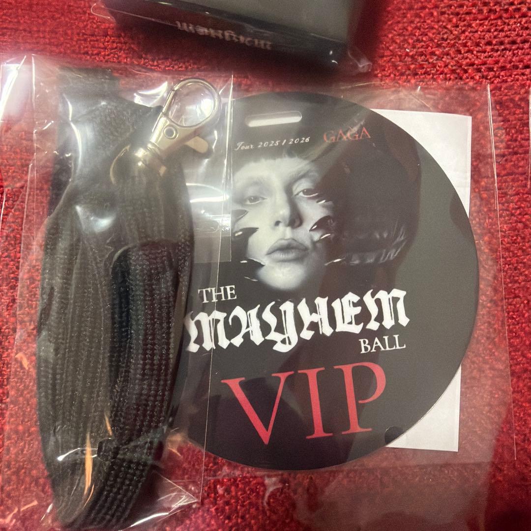レディーガガ2026東京ドームシルバーVIP特典 グッズ - メルカリ