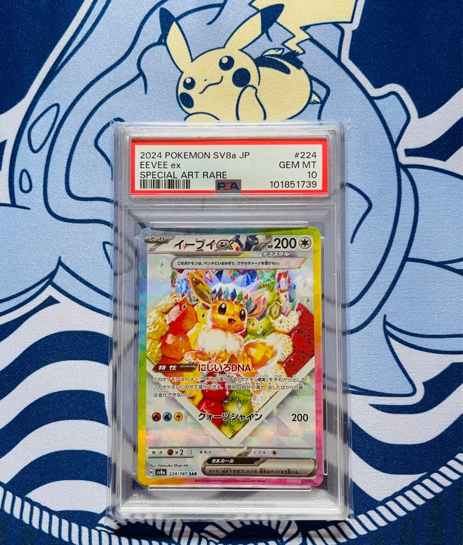 銀魂 カード 桂 エリザベス 攘夷 202501182202