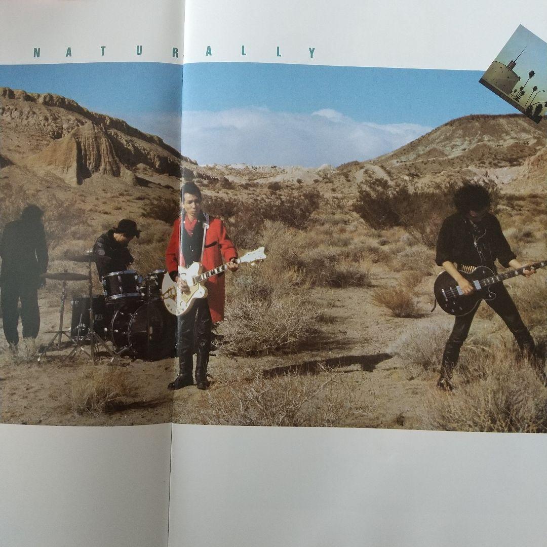 THE MODS(モッズ)ツアーパンフレット - メルカリ