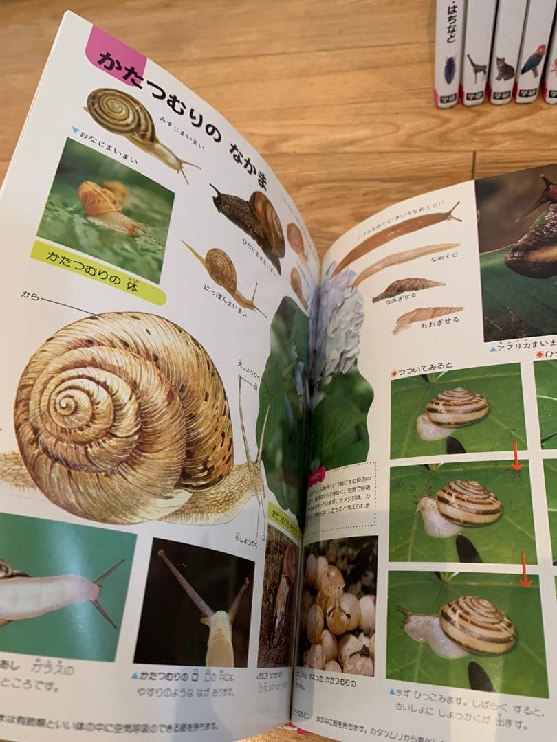 学研こどもベスト図鑑1〜16巻 全巻セット - メルカリ