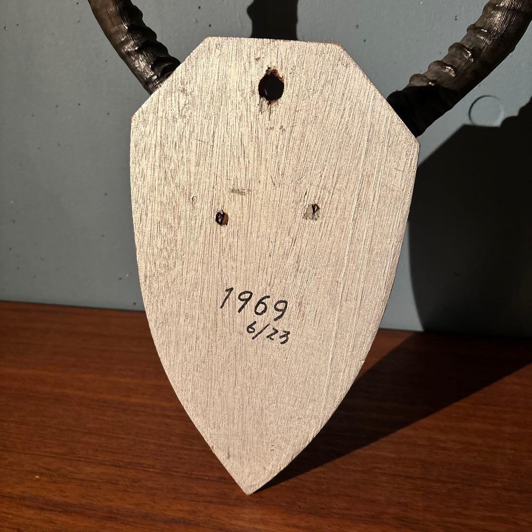 インパラ 頭骨 ハンティングトロフィー 標本 剥製 角 - メルカリ