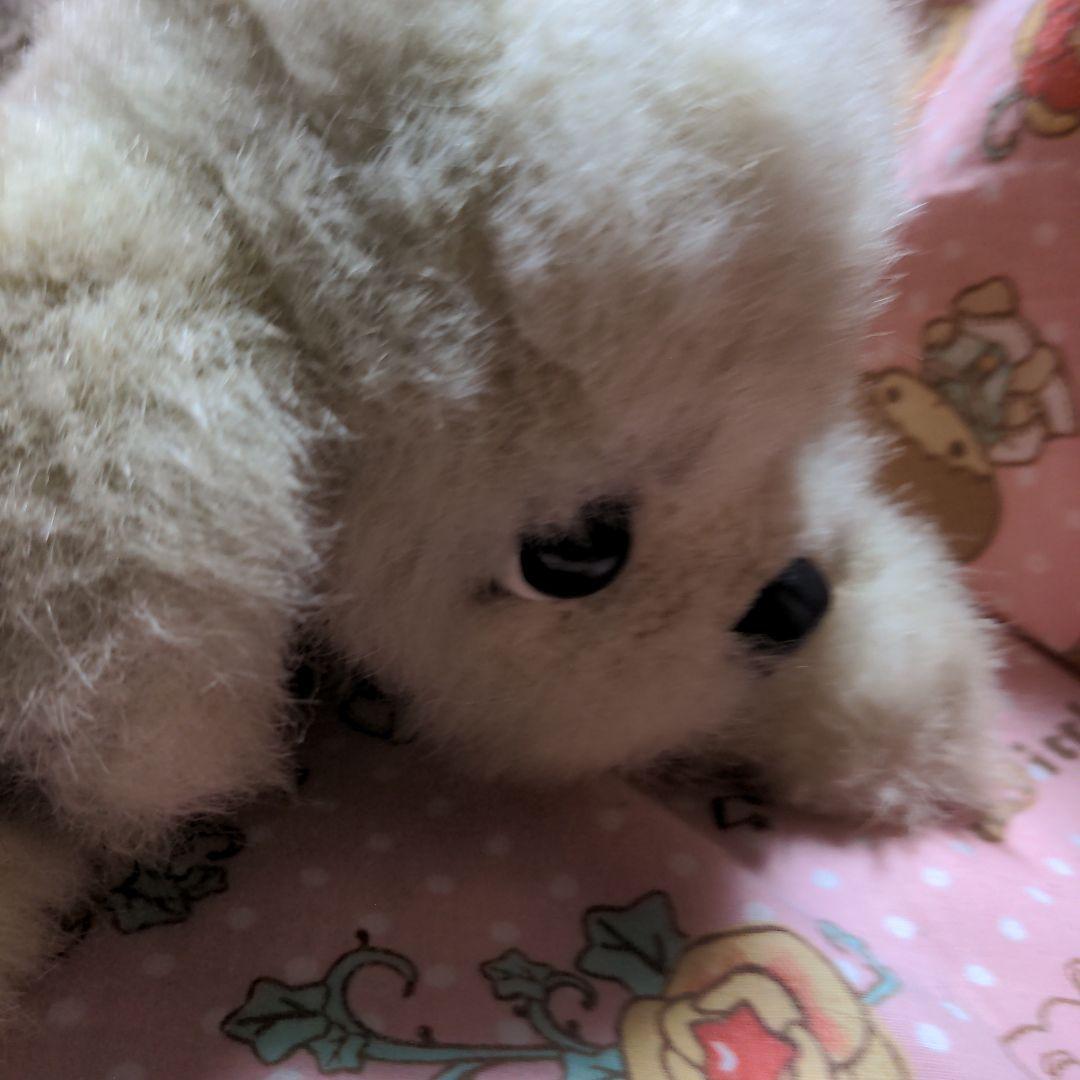 四季オリジナル ぬいぐるみ シーズー 犬 ぬいぐるみ 昭和レトロ