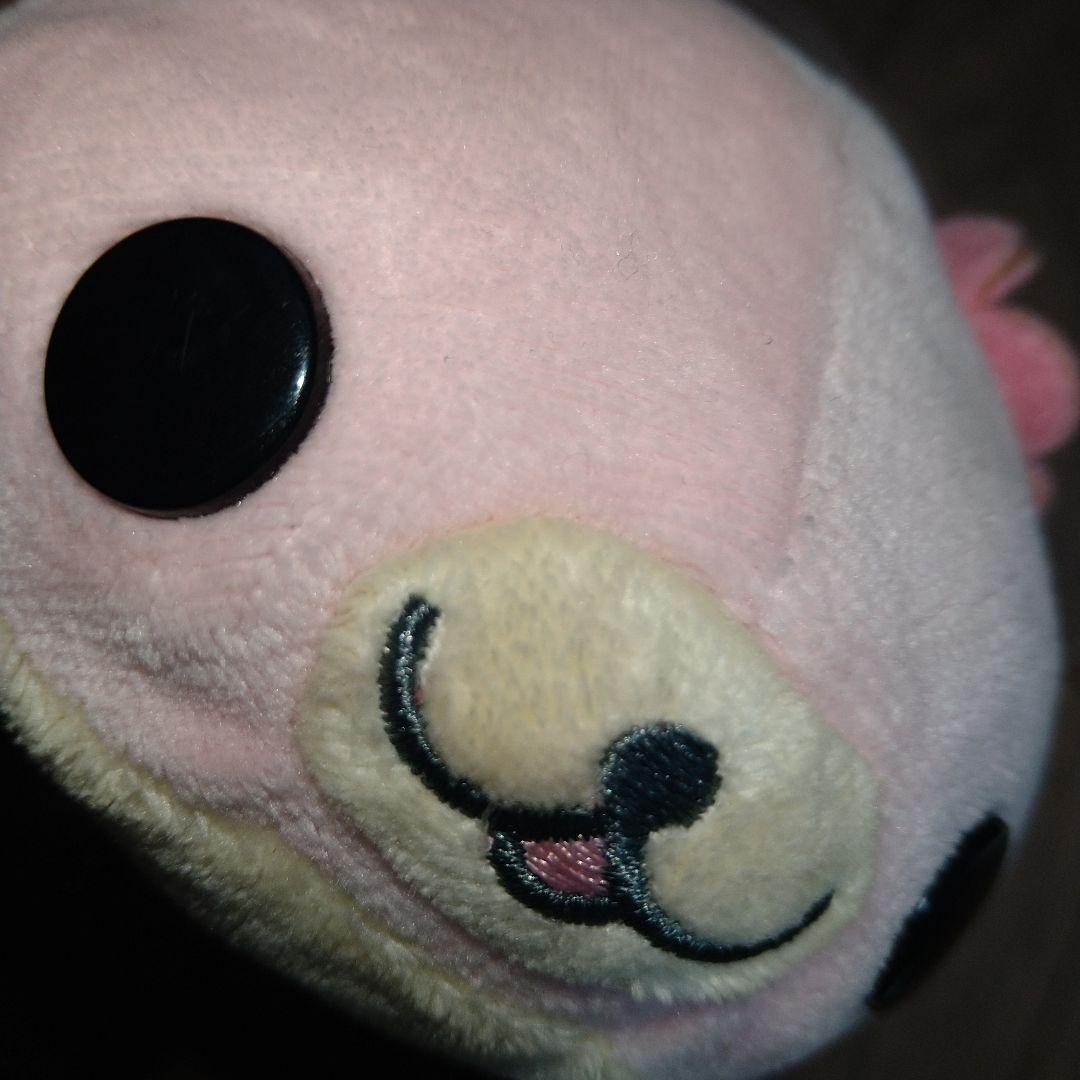 激レア　希少　まめゴマ　さくらゴマ　ドレス