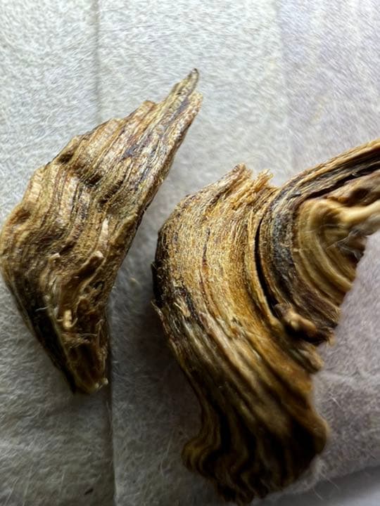 古渡命銘木  御家流名香　伽羅　【まゆずみ】0.173g 香木/お香/沈香/伽羅