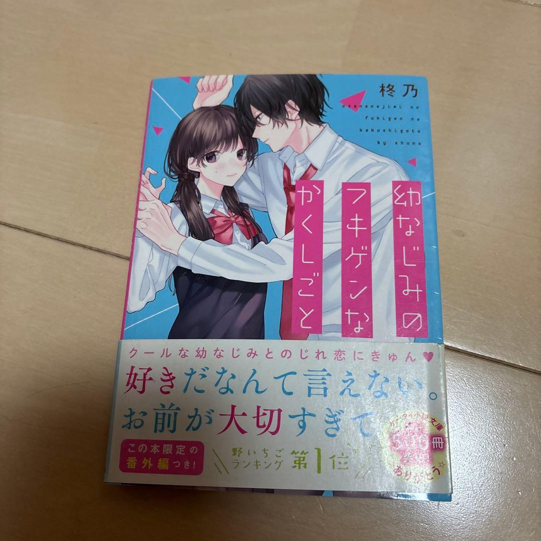 野いちご文庫 まとめ売り 恋愛小説 ケータイ小説 - メルカリ