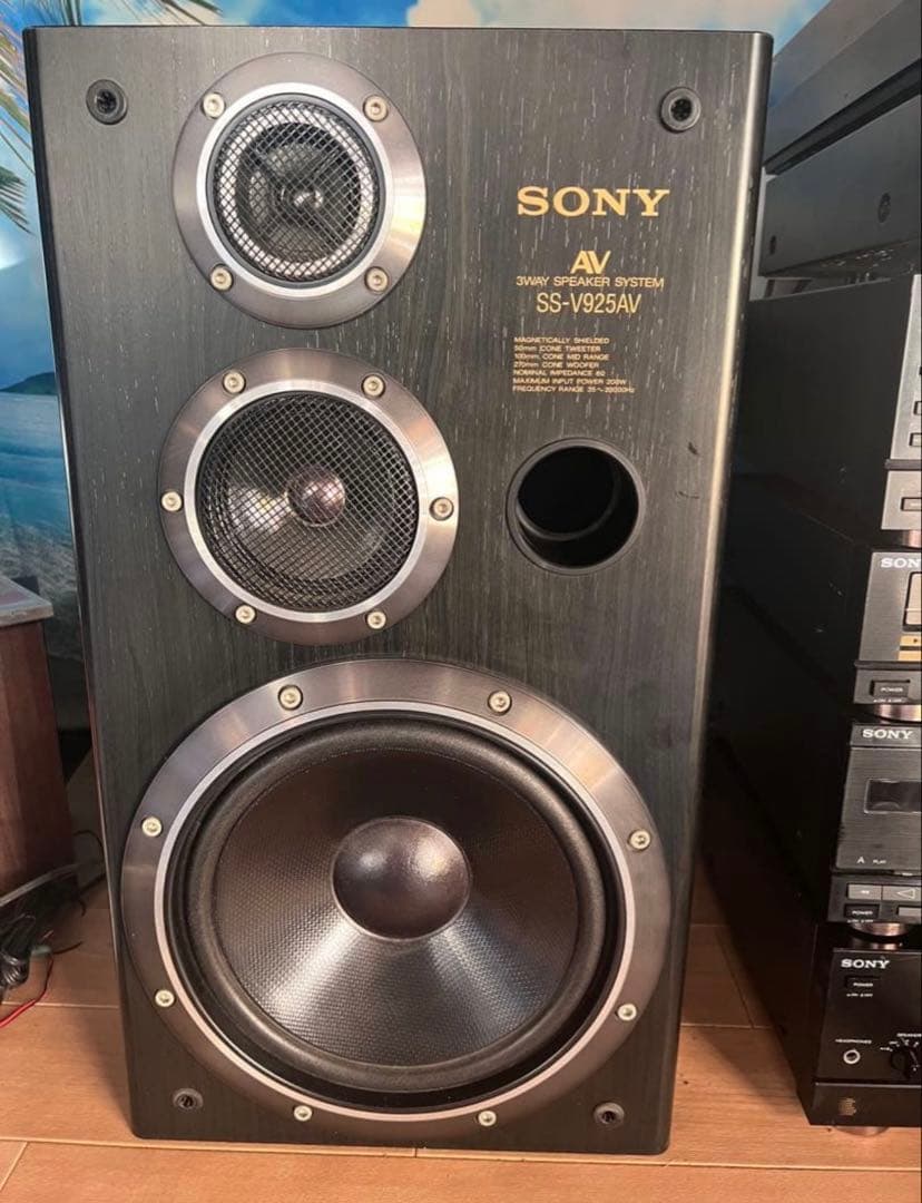 内蔵ブルーツゥース変更可能SONYリバティ LBT-V925 中古品レコード付き