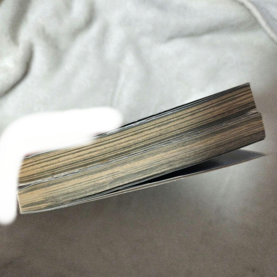 Devil May Cry3 コミック 漫画