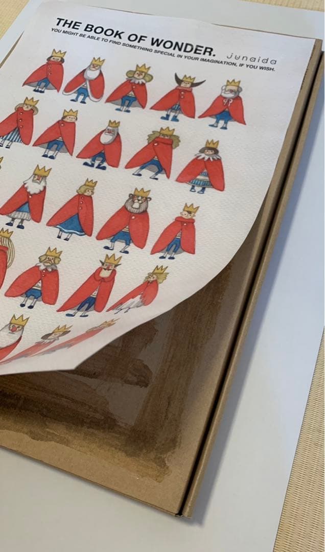 junaida ジュナイダ 画集THE BOOK OF WONDER ポスター付 - メルカリ