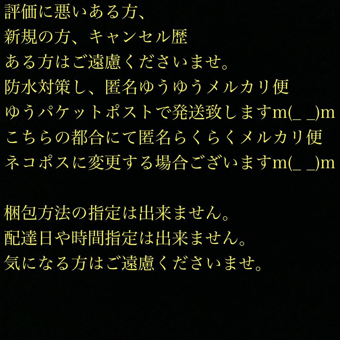 2352タイムリープ量子力学▓奴奈川姫導きし光▓糸魚川産翡翠巨石★願望成就器御守