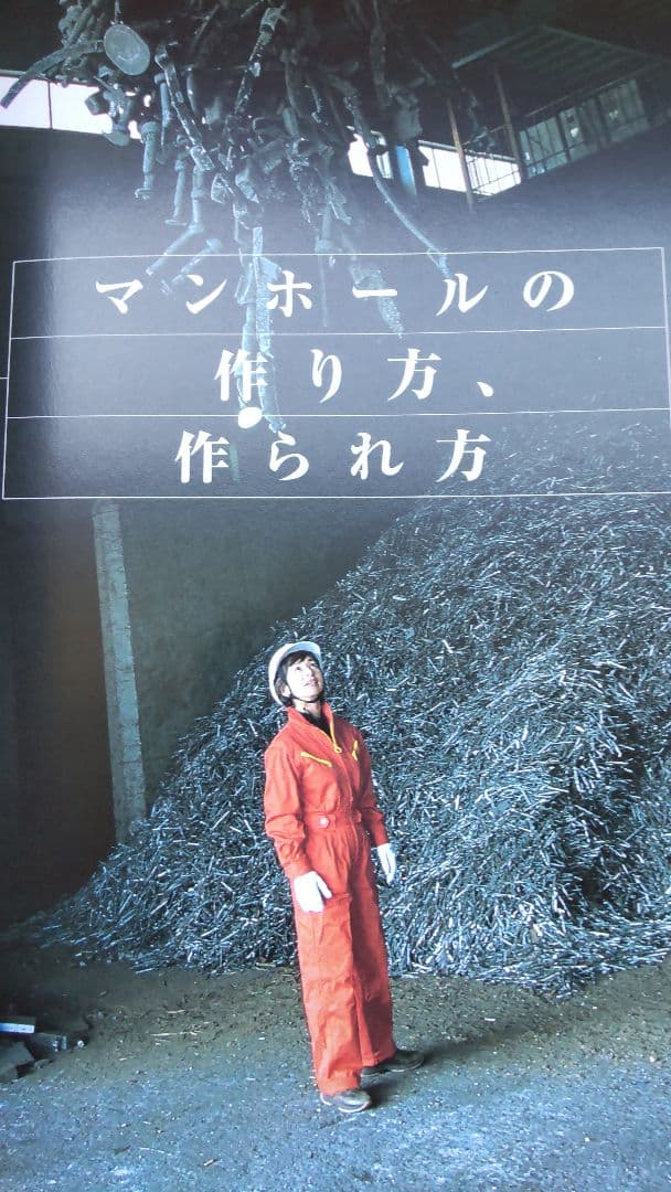 絶版 マンホールの博物誌 水と道路と人々との交差点