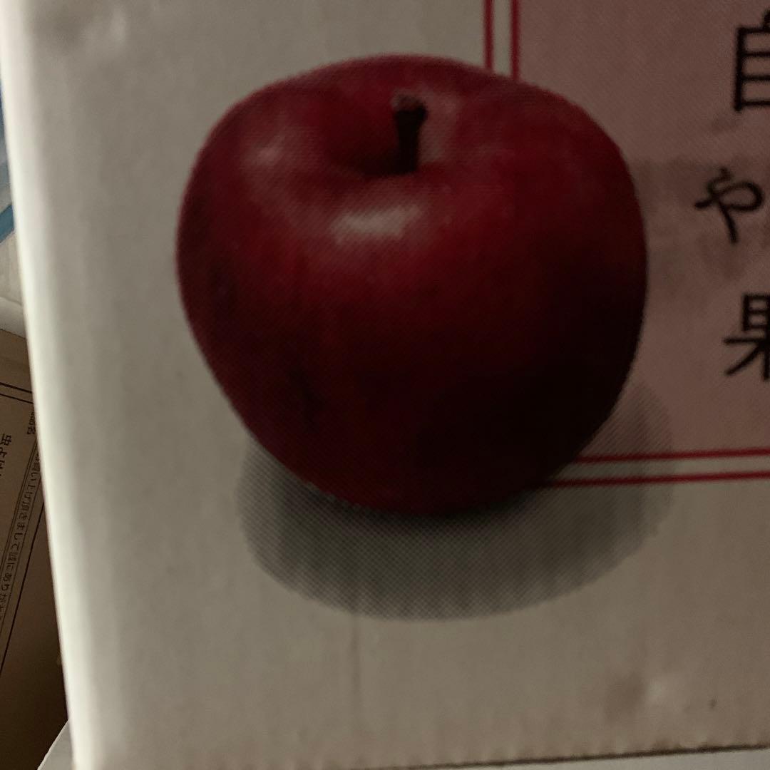 レトロタラ様用 ラメラ3 / シルバー / KP134 / LAMELLA 3 / Silver / LE KLINT（レ