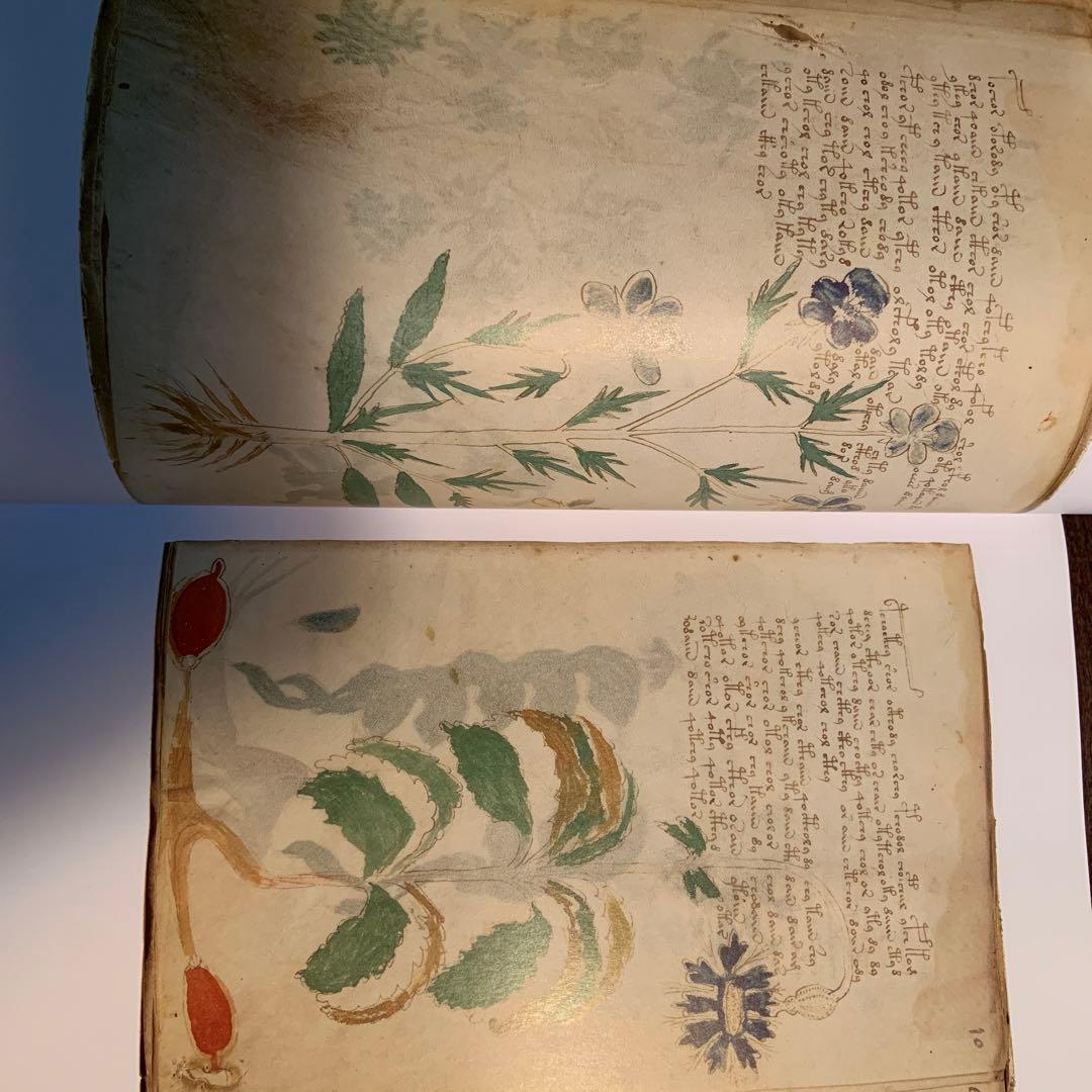 THE VOYNICH MANUSCRIPT - メルカリ