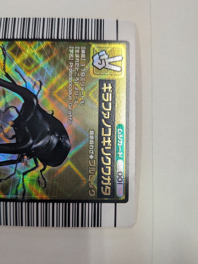 むるてぃしゅ様確認用