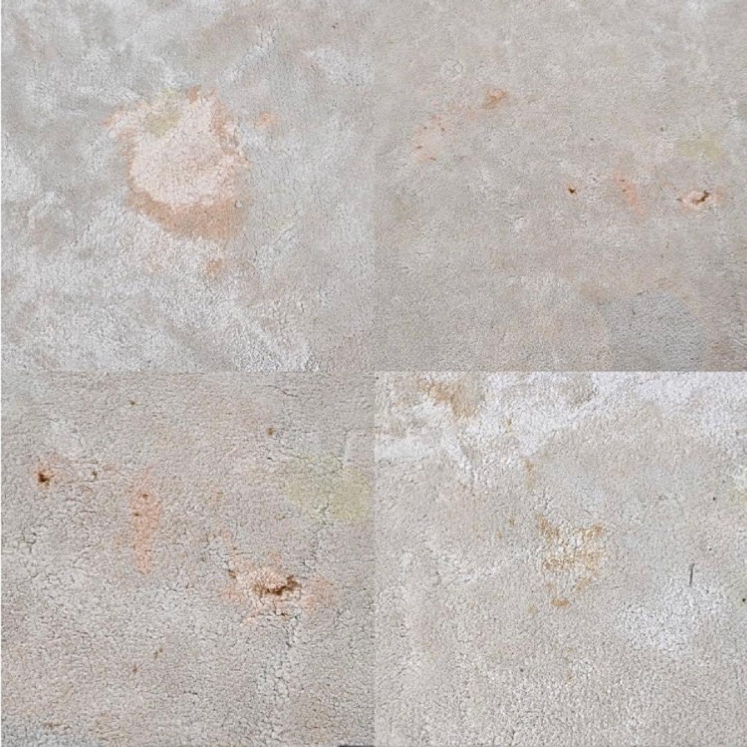 引取り限定Minotti 107万DIBBET ドルドーニ ラグ - メルカリ