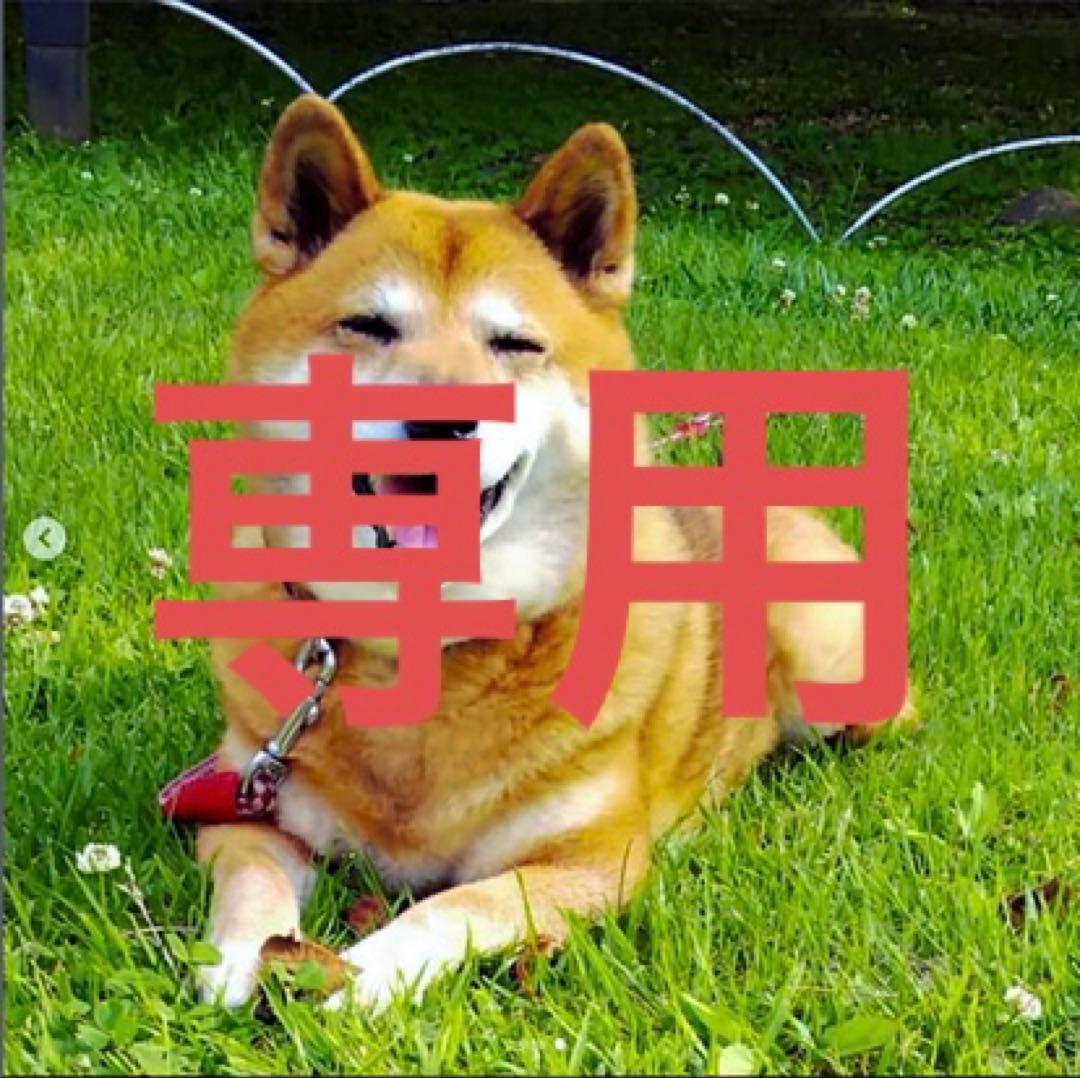 専用出品 ZOZO限定再販】ボウタイりぼん長袖ブラウス（シャツ/ブラウス）｜tocco