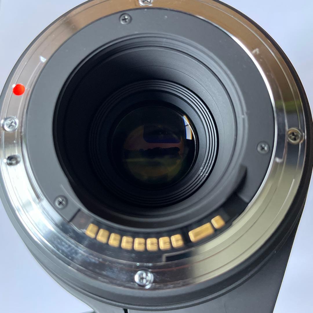 SIGMA 120-400mm F4.5-5.6 APO DG OS ズーム