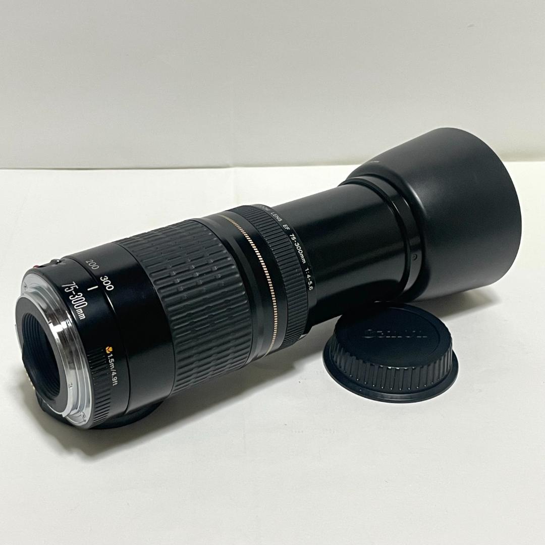 美品✨ Canon EF 75-300mm f/4-5.6 USM 望遠レンズ