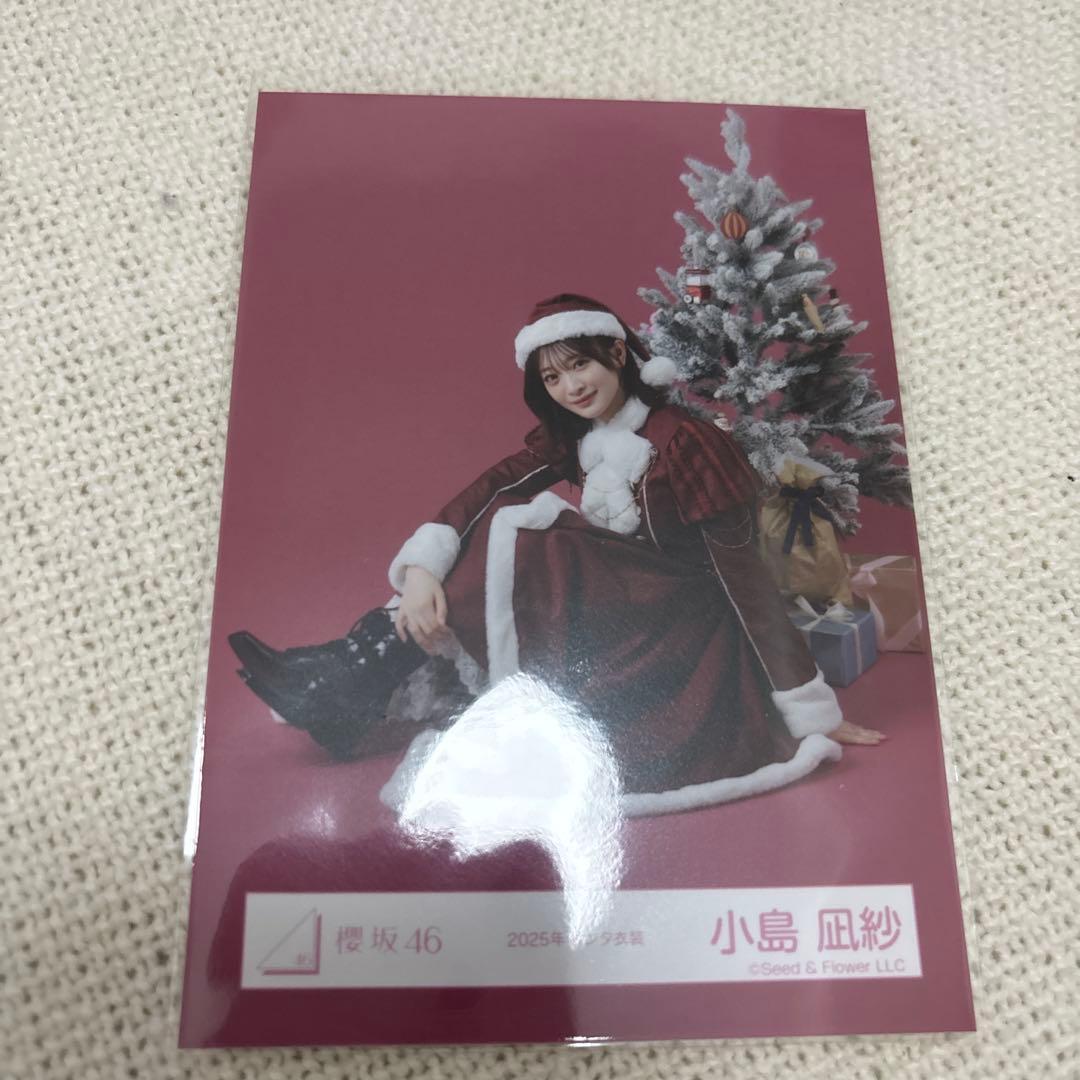 小島凪紗 2025年サンタ衣装 - メルカリ