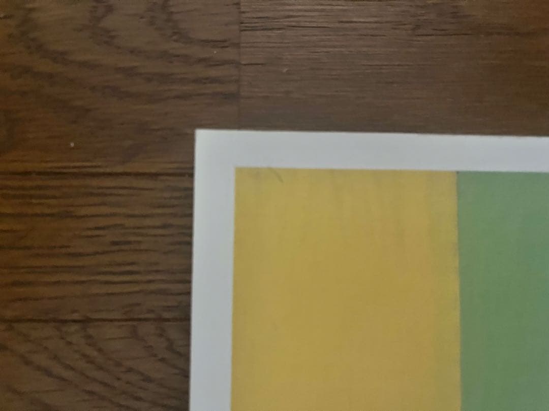 J*I様 美品 mark gonzales social problem 作品集 - メルカリ