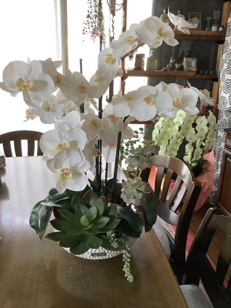 エミリオロバ　胡蝶蘭と多肉　専用です ファレノプシス(胡蝶蘭)のアーティフィシャルフラワー通販｜エミリオ