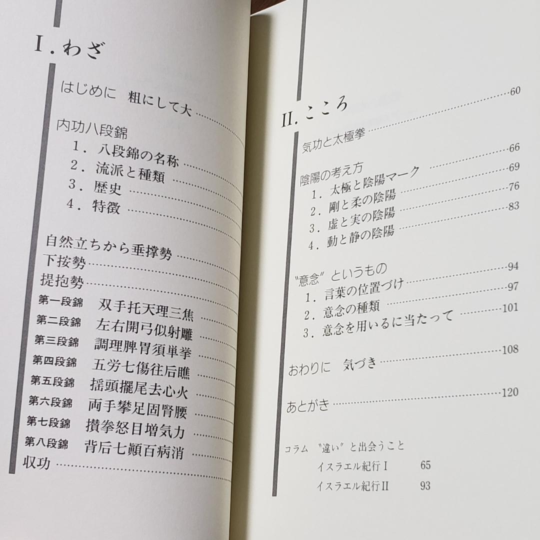 内功八段錦 気功太極拳入門 新渡戸道子