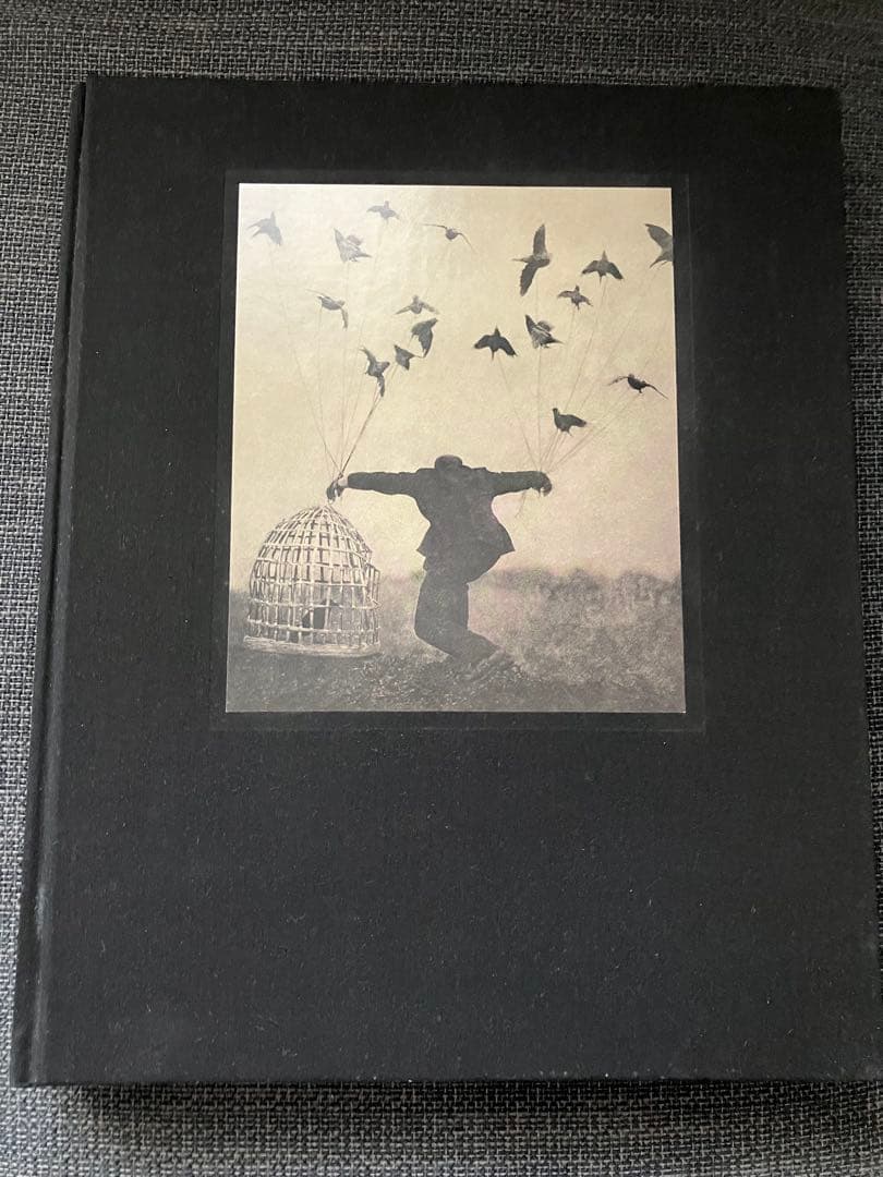 【超レア】The Architect's Brother Aveneer EV1-LE | HomeSewingEmbroidery | By Brother