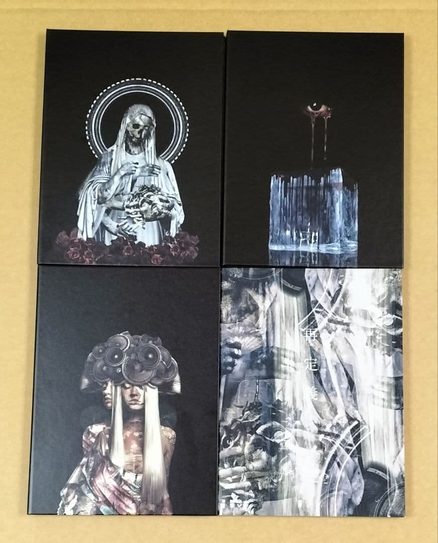 再定義ガゼット DVD