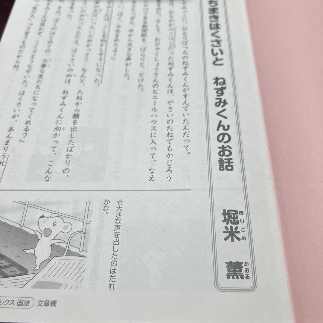 ㉓み サピックス SAPIX 3年 国語 テキスト 一年分フルセット - メルカリ