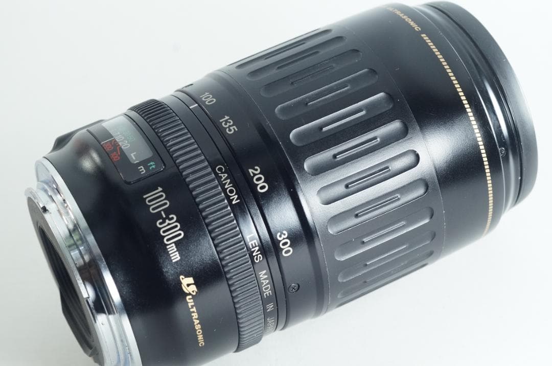 遠く 望遠レンズ Canon EF100-300mm F4.5-5.6 USM