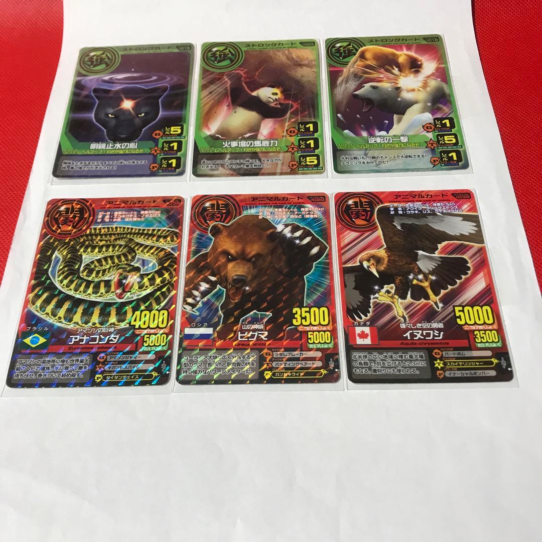 年末最終セール アニマルカイザー6枚のセット - メルカリ