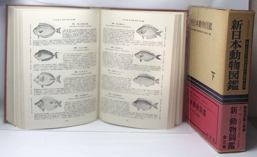 新日本動物圖鑑 上・中・下 全3巻揃い - メルカリ