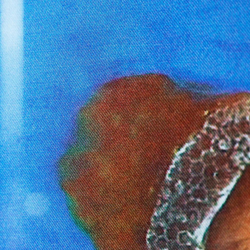 田村能里子 ファンケル銀座展示作 シルクプリント 女神の壁画 額付