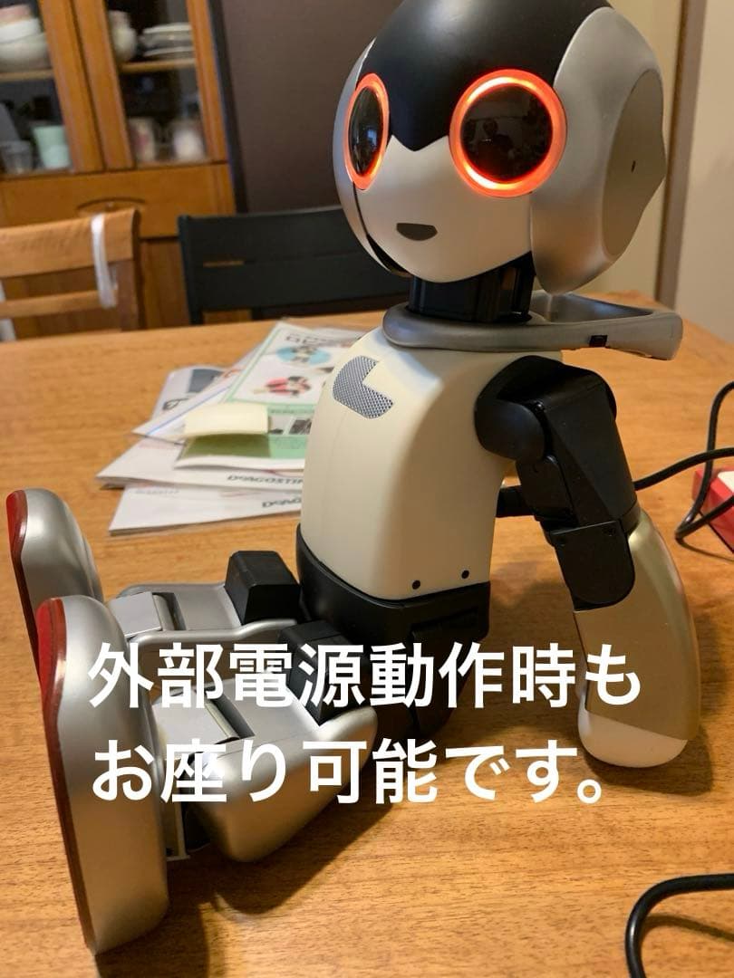 Robi ロビ完成品 外部電源完動品 ココロDX2版 オーナー愛称を登録し